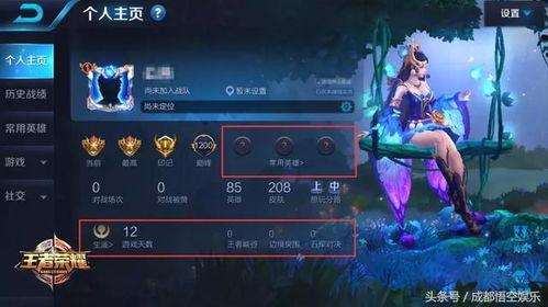 王者太华爆料视频完整版,揭秘游戏新内容与精彩瞬间  第2张